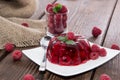 Portion of fresh Raspberry Jello Royalty Free Stock Photo