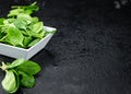 Portion of fresh Spinach close-up shot Royalty Free Stock Photo
