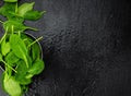 Portion of fresh Spinach close-up shot Royalty Free Stock Photo