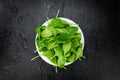 Portion of fresh Spinach close-up shot Royalty Free Stock Photo