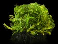 A portion of fresh wakame seaweed Royalty Free Stock Photo