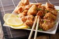 Portion fried chicken karaage with lemon and onion close-up on a