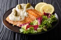Portion grilled salmon with cream sauce, capers, lemon and fresh