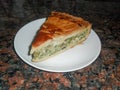 A portion of a healthy vegetable pie on a white plate with a dark background of brown granite