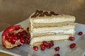 Portion homemade cream cake with pomegranate seeds and chocolate spread