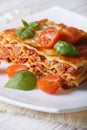 Portion of Italian lasagna on a white plate. Vertical Royalty Free Stock Photo