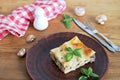 Portion of lasagna with chicken, mushrooms and mozzarella cheese on a brown clay plate. Italian ÃÂuisine Royalty Free Stock Photo