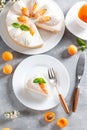 Portion of layered cheesecake with apricot on light background. Apricot tart. Fruit pie