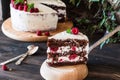 Portion of layered creamy fruit cake with in close up view. Raspberry cake with chocolate. Chocolate cake. Mint decoration.