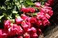 Portion of organic pink rose in wicker basket