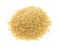 Portion of orzo pasta