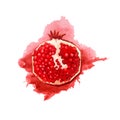 Portion of pomegranate in a watercolor style with