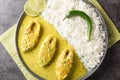 Portion of the popular Hilsa or Ilish fish stewed in mustard sauce with a side dish of white rice close-up in a plate. horizontal Royalty Free Stock Photo