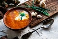 A portion of red borscht in a brown plate, next to an old wooden Board garlic and quail egg, green leeks and driftwood. White sour