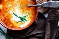 A portion of red borscht in a brown plate, next to an old wooden Board garlic and quail egg, green leeks and driftwood. White sour