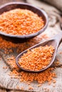 Portion of Red Lentils Royalty Free Stock Photo