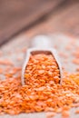 Portion of Red Lentils Royalty Free Stock Photo