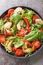 Portion of a salad of artichokes, cherry tomatoes, spinach, arugula, fried peppers and red onions close-up in a plate. Vertical