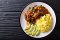 Portion of seco de chivo stewed goat meat with yellow rice and a Royalty Free Stock Photo