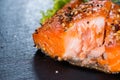 Portion of Smoked Salmon Royalty Free Stock Photo