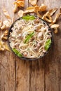 Portion of spaghetti pasta with fried chanterelles in a creamy garlic sauce with cheese close-up on a plate. Vertical top view Royalty Free Stock Photo