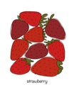 Portion of strawberries, sketch for your design