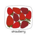 Portion of strawberries, sketch for your design