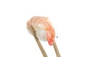 Portion sushi isolated Royalty Free Stock Photo