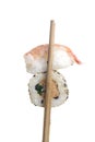 Portion sushi isolated Royalty Free Stock Photo