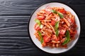 Portion of tasty Casarecce pasta with tomato sauce, cheese and basil close-up on a plate. horizontal top view