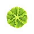 Portion of wasabi on white background, horseradish, mustard for sushi, asian food.