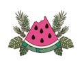 Portion of watermelon and white background