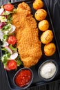 Portion of white fish fillet in breading with new potatoes and fresh vegetable salad close-up on the table. Vertical top view Royalty Free Stock Photo