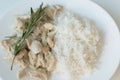 Portion of white rice and chicken slices cooked in cream