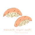 Portioned hamachi nigiri sushi with yellowtail on rice side view and three quarter view