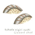 Portioned kohado nigiri sushi with gizzard shad on rice side view and three quarter view