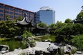 Portland Chinese Garden lily pond summer