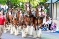 Portland Grand Floral Parade 2014