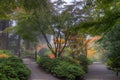 Portland Japanese Garden in Fall