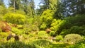 Portland Japanese Garden Summer Royalty Free Stock Photo
