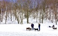 Portland Maine dog park on Valley Street in Winter, one woman, two men, several dogs
