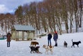 Portland Maine dog park on Valley Street in Winter, three women, several dogs, shelter hut