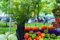 DeNoble Enticing Farmers Market Display Royalty Free Stock Photo