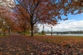 Portland Oregon Waterfron Park in Autumn Royalty Free Stock Photo