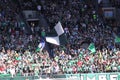 Portland Timbers Major League soccer crowd Royalty Free Stock Photo