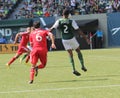 Portland Timbers vs Quakes Royalty Free Stock Photo