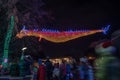 Oriental dragon made out of Christmas lights