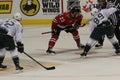 Portland Winterhawks face off Royalty Free Stock Photo