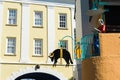 Portmeirion village, North Wales Royalty Free Stock Photo