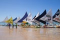 Jangada boats Porto de Galinhas